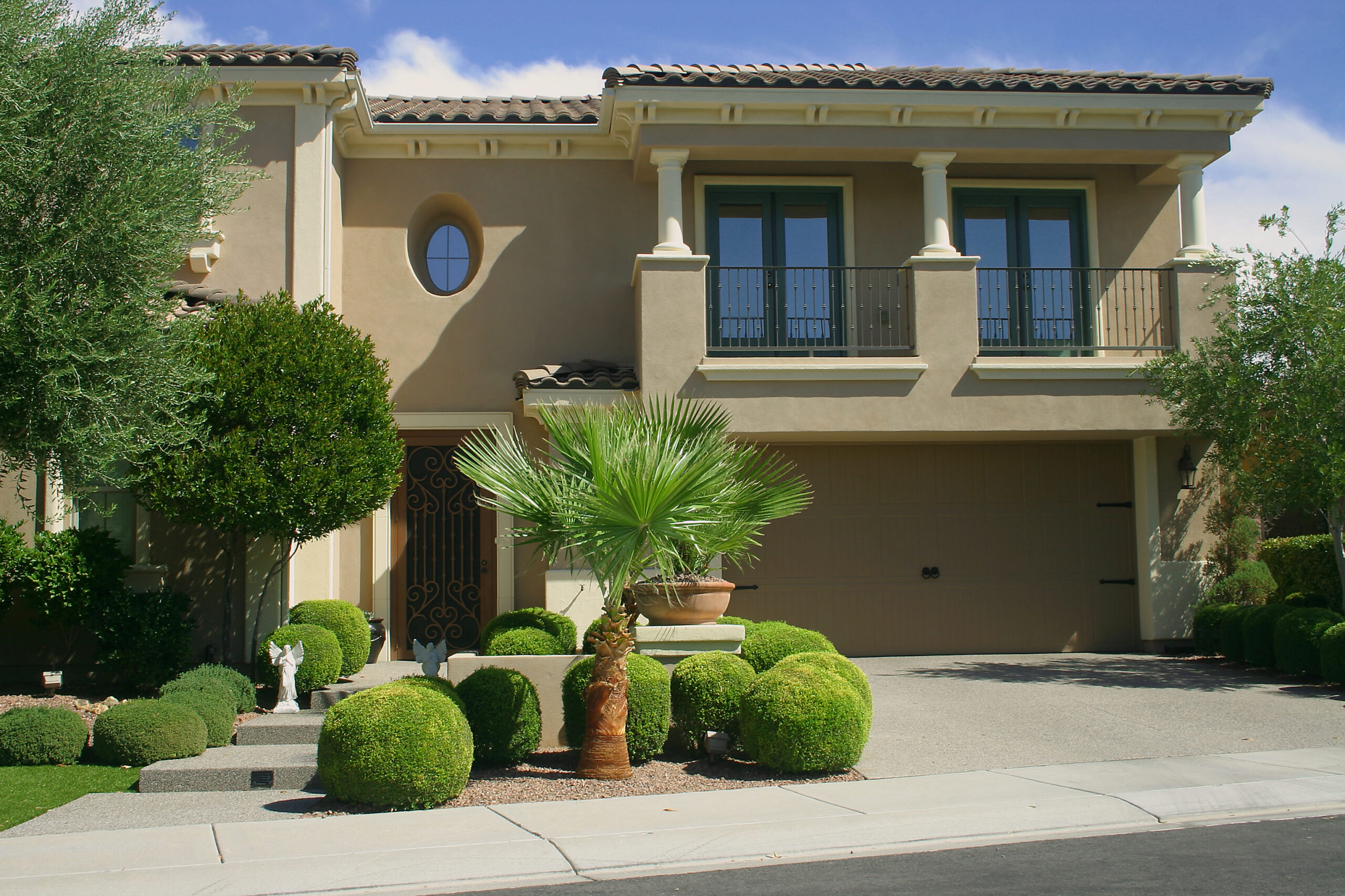 Palm cutting and maintenance work by Zion Landscaping