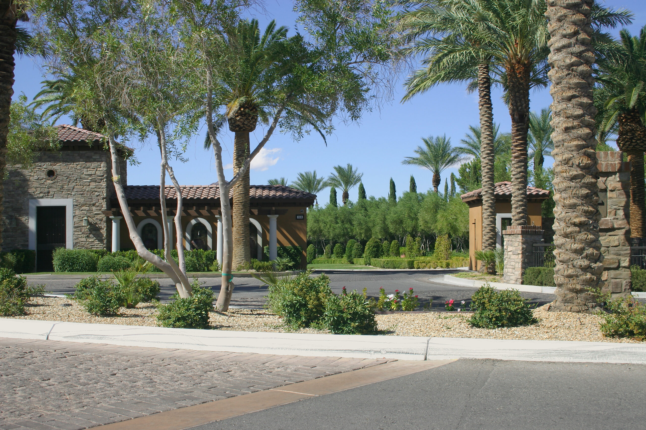 Palm cutting project by Zion Landscaping Services